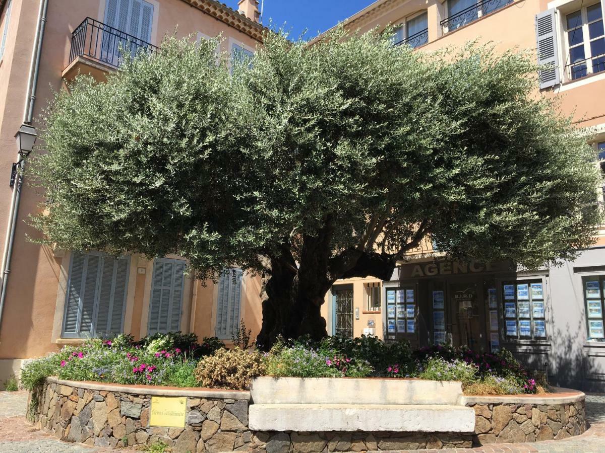 Bastide Du Levant Sainte-Maxime Kültér fotó